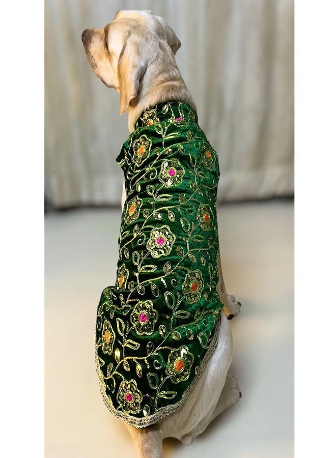 Lulala Festive Dog Sherwani in Green Velvet - Heavily Embroidered Ethnic Outfit for Dogs | Traditional Indian Pet Clothing for Weddings, Diwali and Parties for Dogs - Image 5